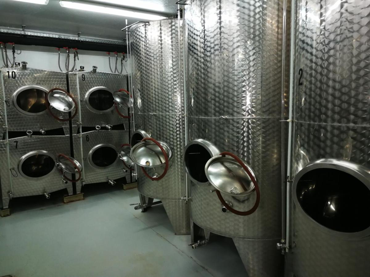Winzerhof Brachtendorf Alken Kültér fotó