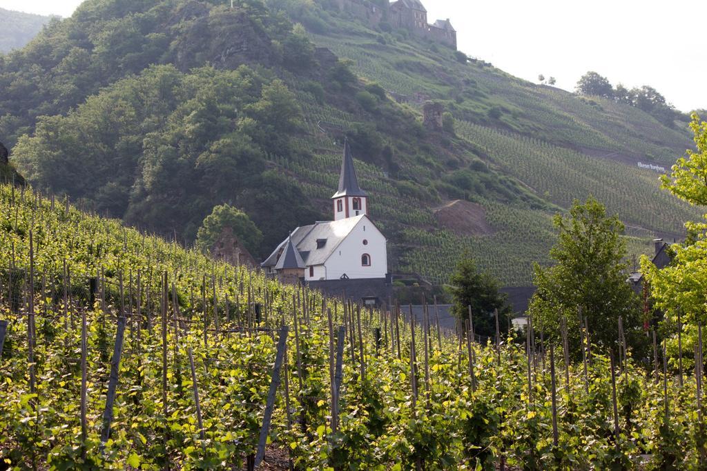 Winzerhof Brachtendorf Alken Kültér fotó