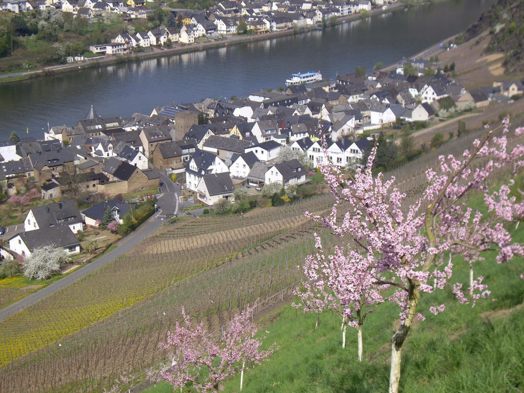 Winzerhof Brachtendorf Alken Kültér fotó