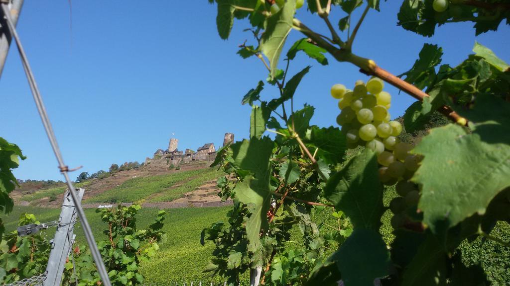 Winzerhof Brachtendorf Alken Kültér fotó